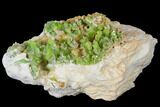 Vibrant Green Pyromorphite Crystal Cluster - China #132758-1